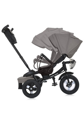 Дитячий триколісний велосипед MT 1007-13 з батьківською ручкою No Brand (330140105)