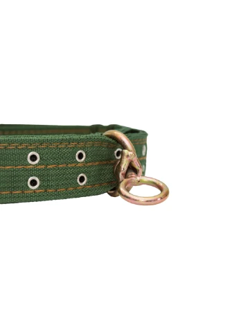 Нашийник для великих собак Pet Style "Hunter" Зелений 1,5 метр No Brand - (323233441)