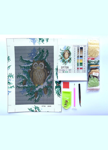 Алмазна мозаїка Сова 20х30 DT728 ColorArt (299772429)