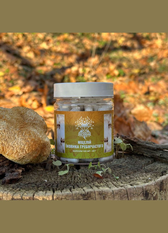Мицелий ежика гребенчатого в капсулах 120 шт по 0,5 г Лісовик (334292926)