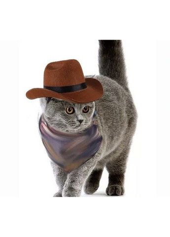 Капелюх ковбойський для собак і кішок "для маленьких порід" Size S Xtep (319664481)