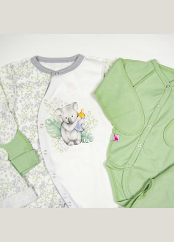 Комбинированный демисезонный набор на выписку koala и olive 6в1 Tunes