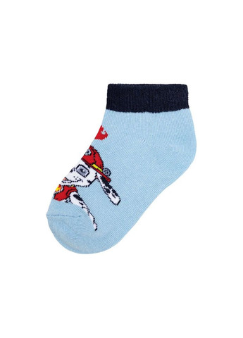 Набір шкарпеток (носків) для хлопчика Lupilu (293819611)