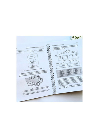 Вчимося розпізнавати плідність. Кука О., Городенчук З., Дуб Л. Свічадо (354253448)