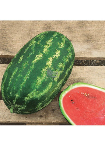 Семена арбуза Lady F1 10000 шт (2747825770) Nunhems (362135193)