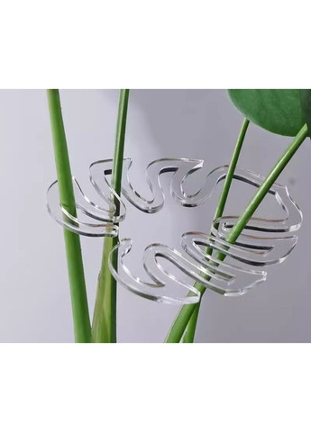 Прозорі фіксатори для рослин Монстера підпірки для стебел та формування росту 13×14 см набір 3 шт No Brand (371914997)