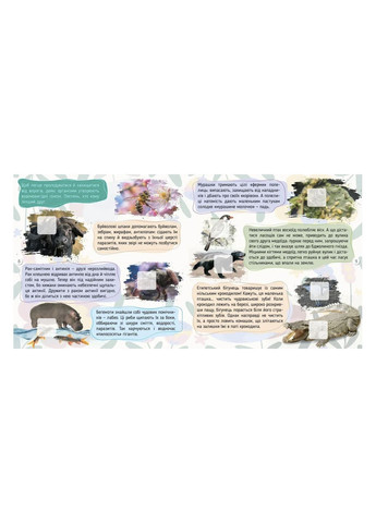 Насекомые. 100 интересностей цвет разноцветный ЦБ-00283377 Талант (351284084)