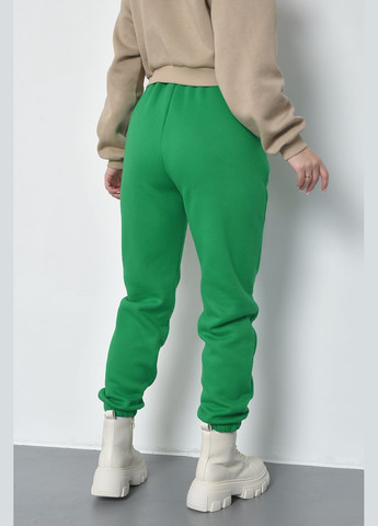Спортивные штаны женские на флисе зеленого цвета Let's Shop (285779387)