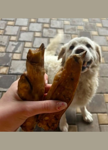 Натуральное лакомство для собак ножки кабанчика сушеные половинки " " (Бетховен) 2 пол/уп Bethowen (326597397)