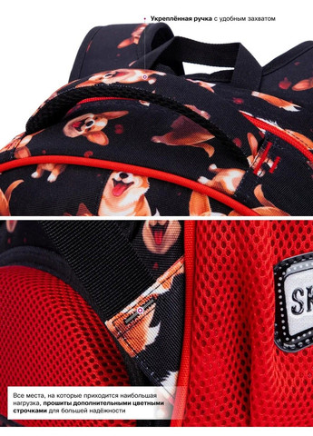 Рюкзак школьный для девочек /SkyName R2-213 Winner (331532385)