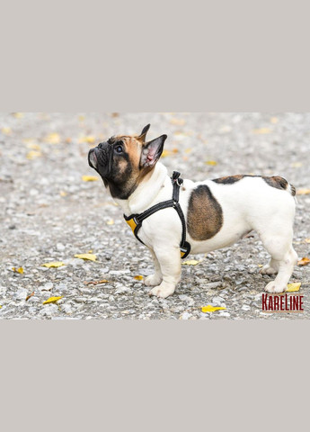 Шлей нагрудник из нейлона со светоотражающими элементами и пластиковой пряжкой 10 мм. Kareline (339074878)