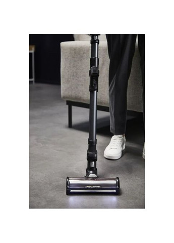 Пылесос Rowenta RH9L42WO (361109609)