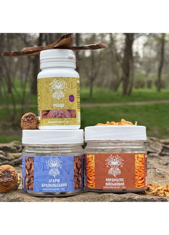 Курс Heart Power: Для сердцево-судинної системи (1 місяць) Лісовик (334711142)