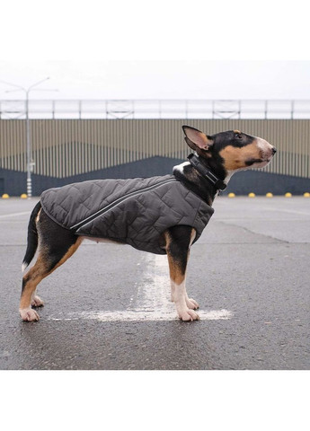 Жилет «E.Vest» для собак, размер, Pet Fashion (363132964)