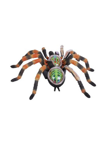 Пазл 4D Master (FM-622032) SKL Павук Тарантул (366105867)