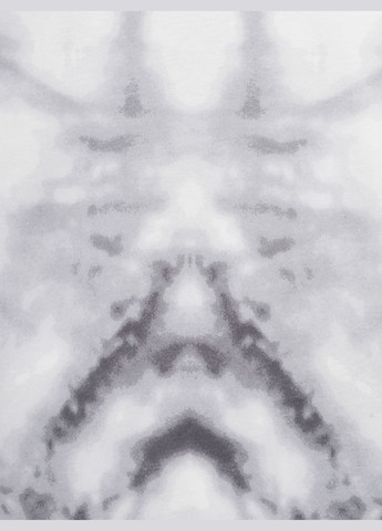 Сіра літня футболка Cegisa