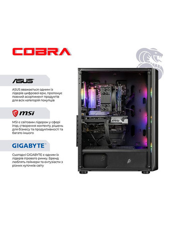 Компьютер Advanced (A87F.64.S10.97XT.23036) Cobra (368901622)