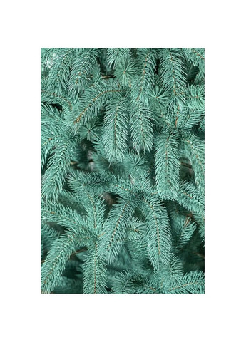 Новогодняя елка искусственная литая Bukovel 250 см Голубая 4829221110253 Siga Group (317307837)