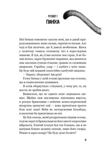 Діти лісу. Незвіданий край Кн 4 No Brand (385303847)