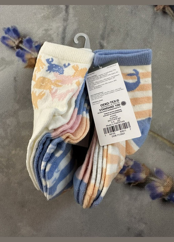 Бежевые носки 6 пар рисунки (316132343)