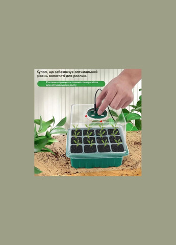 Міні-теплиця Golden Seed для пророщування розсади на 6 лотків 19*15 см No Brand (351456579)