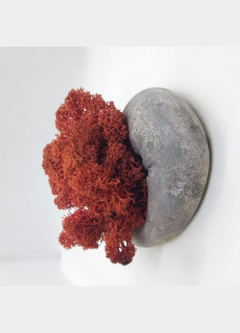 Стабілізований мох ягель Сієна 1 кг Nordic moss (276401177)