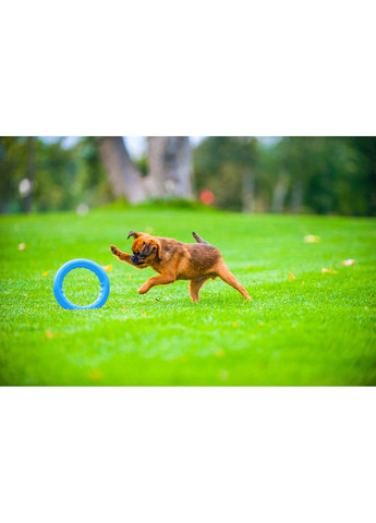 Кольцо для апартовки PitchDog диаметр 30 см (4823089302447) Collar (354700654)