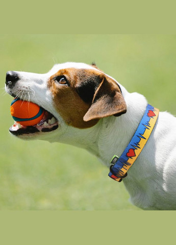 Нашийник Життя розмір XL ширина 25 мм довжина 43-66 см (2100103053014) Hi Dog (332880772)