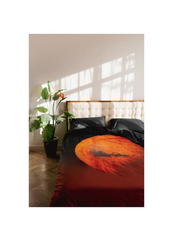 Дизайнерский комплект постельного белья by AndreTAN Мужчины с Марса сатин евро 200х220 см SoundSleep (308071904)