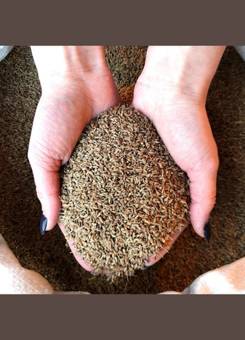 Аніс цілий 1 кг No Brand (346475915)