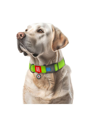 Ошейник для собак водостойкий Waterproof c QR паспортом, пластиковый фастекс, XXL, Ш 40 мм, Дл 46-70 см, салатовый WAUDOG (323041710)