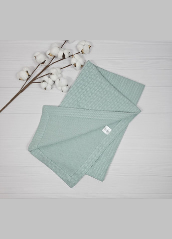 Набор для малыша: с пледом a.l.babybox мятный No Brand (331737849)