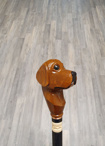 Тростина для ходьби Родезійський ріджбек No Brand (320586090)