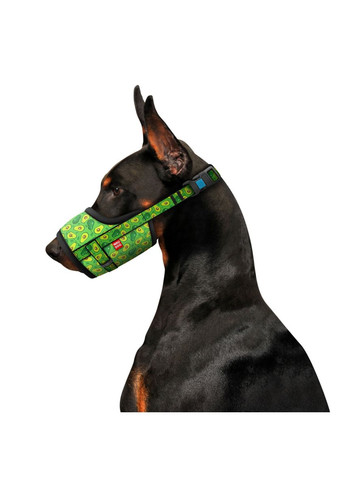 Намордник WAUDOG Nylon, малюнок Авокадо, розмір №2, 19-26 см, пластиковий фастекс Collar (321969905)
