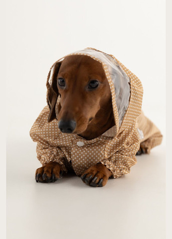 Комбинезон для животных KM52621 Бежевый (2000990380746D) shop (2000990380746) KUMAOCHONGWUYONGPIN (363829780)