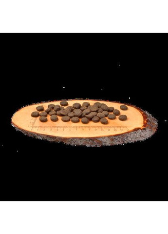 Сухой корм Raindeer для взрослых собак всех пород, оленина и кабан, 12 кг. Carnilove (362584256)