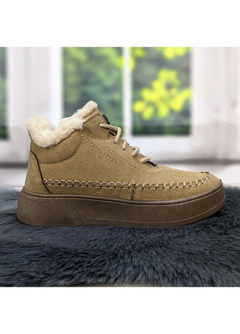 Черевики жіночі зимові замшеві на шнурках Dago (301690029)