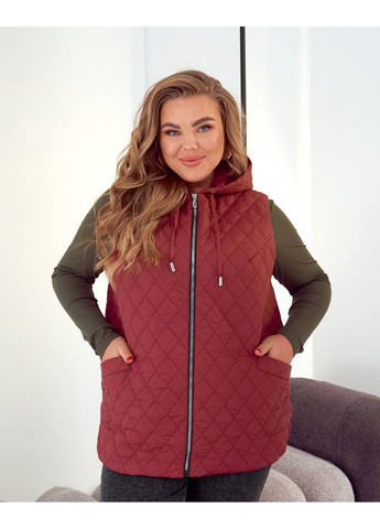 Жилет жіночий стьобаний з капюшоном No Brand (361221230)