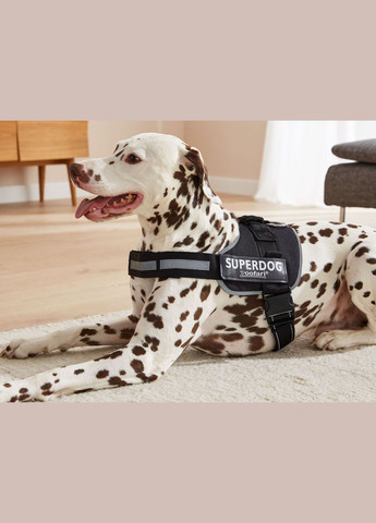 Шлейка/шлея для собак ХL зі світловідбиваючими елементами для собак з окружність грудей 90-119 см Zoofari (325450996)