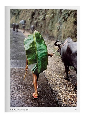 Книга Steve McCurry. Animals (9783836597036) Taschen (364656015)