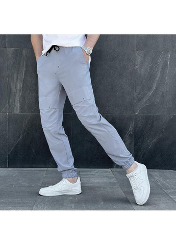 Чоловічі демісезонні спортивні штани сірі No Brand (354308101)