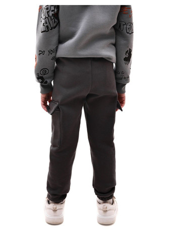 Штани спортивні для хлопчика Фіона (370433709)