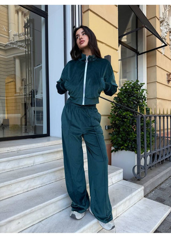 Стильный женский велюровый костюм Україна (358934547)