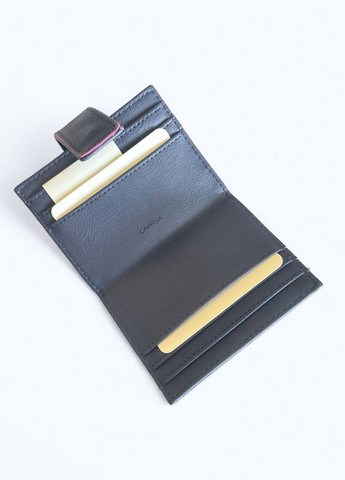 Картхолдер/визитница Carpisa (354812885)