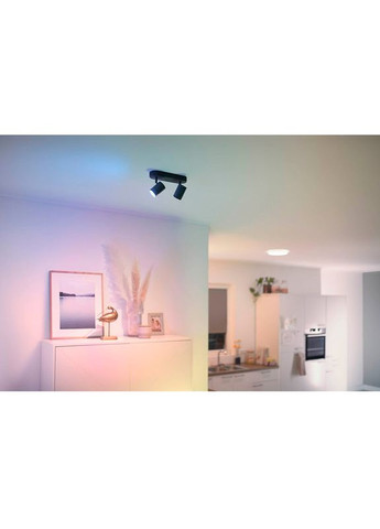 Розумний світильник IMAGEO Spots накладний точковий 2x5W 2200-6500K RGB Wi-Fi Black (929002659101) WiZ (322939272)