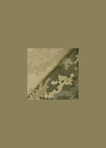 Штани CM Patrol Pro Камуфляж Camotec (317661497)