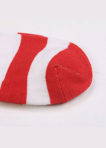 Панчохи червоні та білі смужки трикотажні заколінки 11840 one size No Brand (335413981)