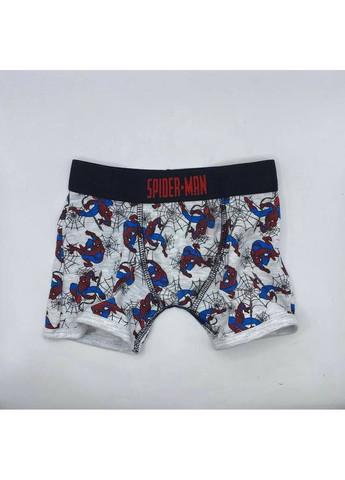 Набір дитячих трусиків Primark боксери (373424029)