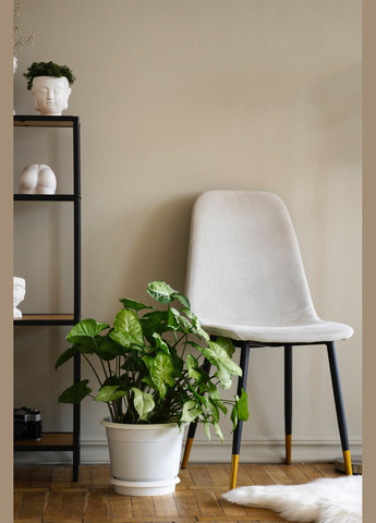 Рідке добриво для зелених рослин 0,5л (A014016) Compo (315150320)