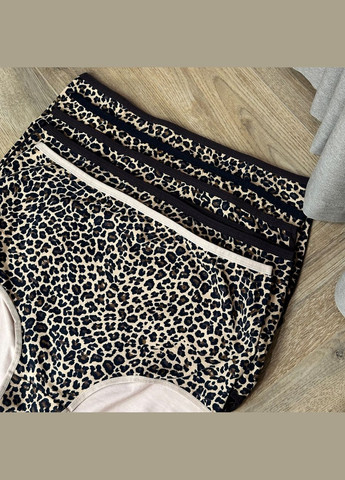 Труси жіночі бавовняні 156-160 см 10566 (5 шт/уп) Nicoletta (344589507)